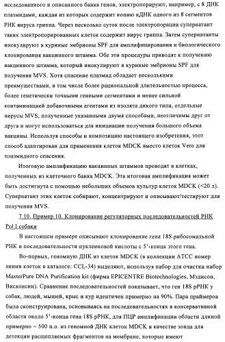 Способы и композиции для экспрессии антисмысловой вирусной рнк в клетках собаки (патент 2457250)