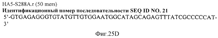 Иммуногенный эпитоп вируса гриппа (патент 2546872)