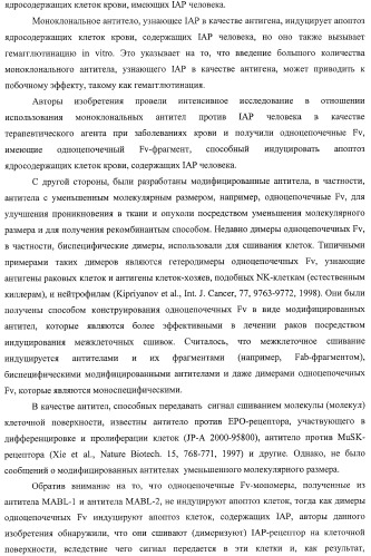 Агонистическое соединение, способное специфически узнавать и поперечно сшивать молекулу клеточной поверхности или внутриклеточную молекулу (патент 2430927)