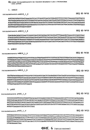 Vgc2 днк salmonella typhimurium, мутантная бактерия, обладающая пониженной способностью к адаптации к условиям окружающей среды, и способ ее получения (патент 2370541)