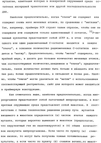 Vgc2 днк salmonella typhimurium, мутантная бактерия, обладающая пониженной способностью к адаптации к условиям окружающей среды, и способ ее получения (патент 2370541)