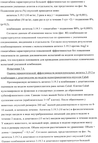 Стабилизированные антитела против ангиопоэтина-2 и их применение (патент 2509085)