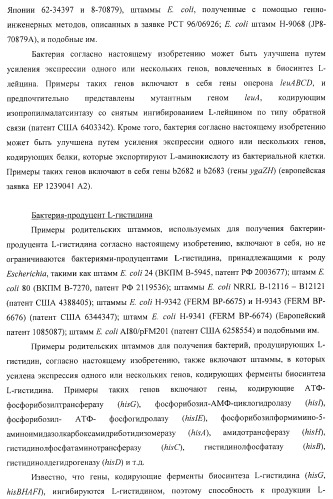 Способ получения l-треонина или l-аргинина с использованием бактерии, принадлежащей к роду escherichia, в которой инактивирован ген chac или оперон chabc (патент 2392327)