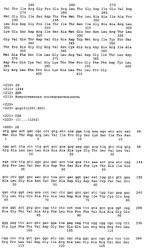 Гены grg23 и grg51, придающие устойчивость к гербицидам (патент 2393225)