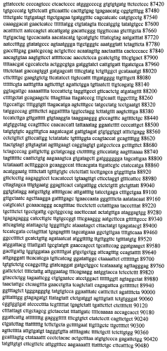 Модуляция экспрессии гентингтина (патент 2562861)