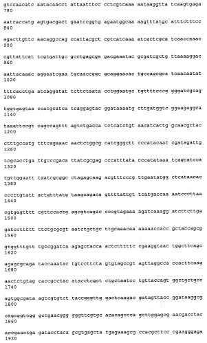 Антитела к рецептору конечных продуктов глубокого гликирования (rage) и их применения (патент 2518351)