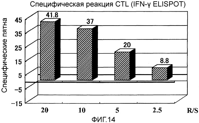 Комбинированная терапия рака поджелудочной железы с использованием антигенного пептида и химиотерапевтического средства (патент 2472522)