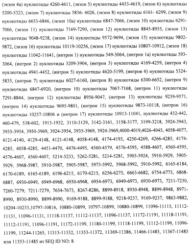 Композиции и способы модуляции экспрессии рецептора фактора роста фибробластов 4 (fgfr4) (патент 2501803)