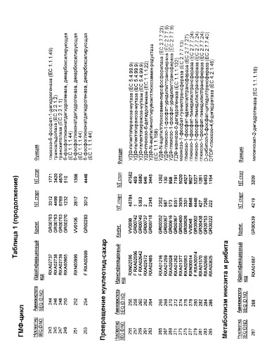 Гены corynebacterium glutamicum, кодирующие белки, участвующие в метаболизме углерода и продуцировании энергии (патент 2321634)