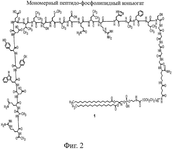 Конъюгаты фосфолипидов и направляющих векторных молекул (патент 2433137)