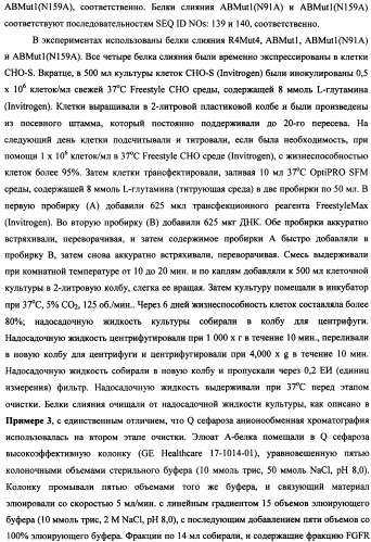 Мутеины кислотной зоны внеклеточного домена рецептора фактора роста фибробластов (патент 2509774)