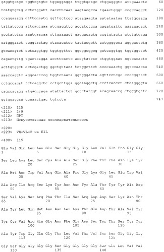 Pscaxcd3, cd19xcd3, c-metxcd3, эндосиалинxcd3, epcamxcd3, igf-1rxcd3 или fap-альфаxcd3 биспецифическое одноцепочечное антитело с межвидовой специфичностью (патент 2547600)