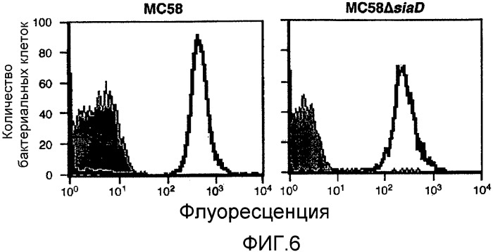 Множественные варианты менингококкового белка nmb 1870 (патент 2336091)