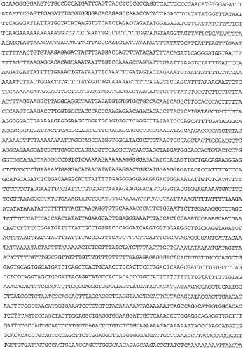Применение s1p (патент 2362565)