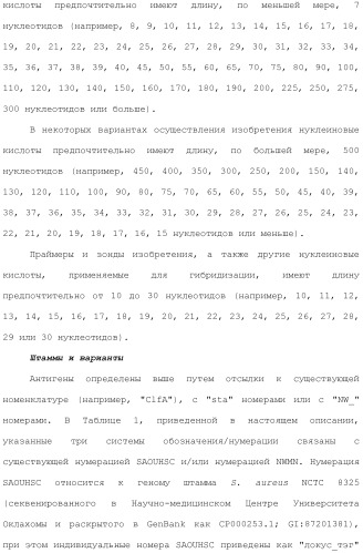 Композиции для иммунизации против staphylococcus aureus (патент 2508126)