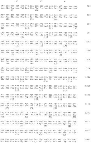Эпитопные пептиды rab6kifl/kif20a и содержащие их вакцины (патент 2532105)