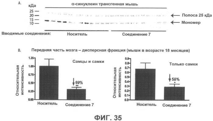 Соединения, композиции и способы, предназначенные для лечения бета-амилоидных заболеваний и синуклеинопатий (патент 2501792)