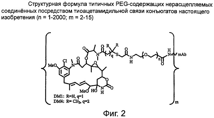Высокоэффективные конъюгаты и гидрофильные сшивающие агенты (линкеры) (патент 2487877)