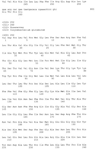 Гены corynebacterium glutamicum, кодирующие белки резистентности и толерантности к стрессам (патент 2303635)