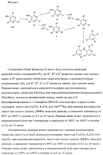 Производные азабифениламинобензойной кислоты в качестве ингибиторов dhodh (патент 2481334)