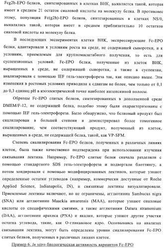 Fc-эритропоэтин слитый белок с улучшенной фармакокинетикой (патент 2370276)