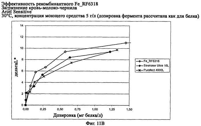 Новая протеаза грибов и ее применение (патент 2566549)