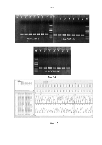 Новый способ пцр-секвенирования и его применение в генотипировании hla (патент 2587606)