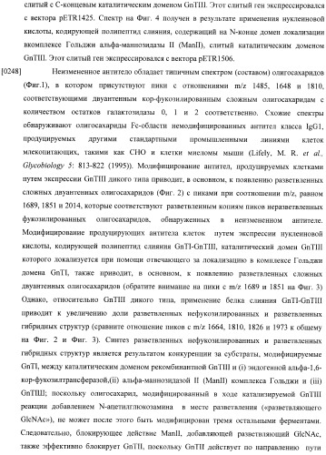 Конструкции слияния и их применение для получения антител с повышенными аффинностью связывания fc-рецептора и эффекторной функцией (патент 2407796)