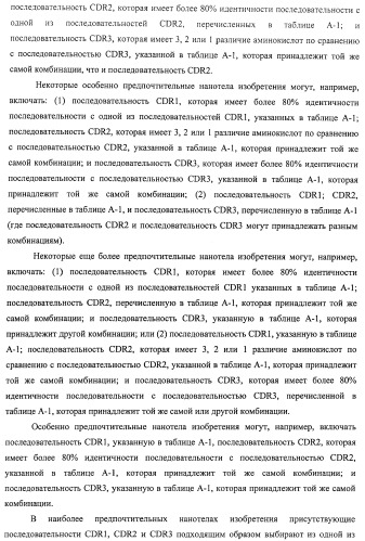 Аминокислотные последовательности, направленные на rank-l, и полипептиды, включающие их, для лечения заболеваний и нарушений костей (патент 2481355)