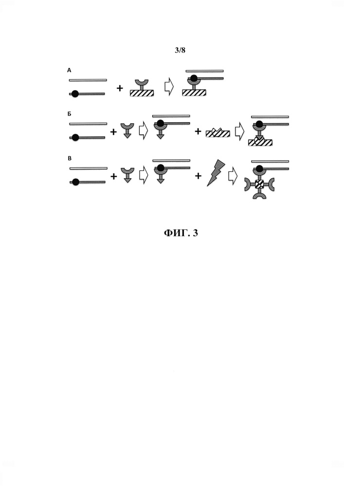 Способ разделения молекул днк (патент 2654671)