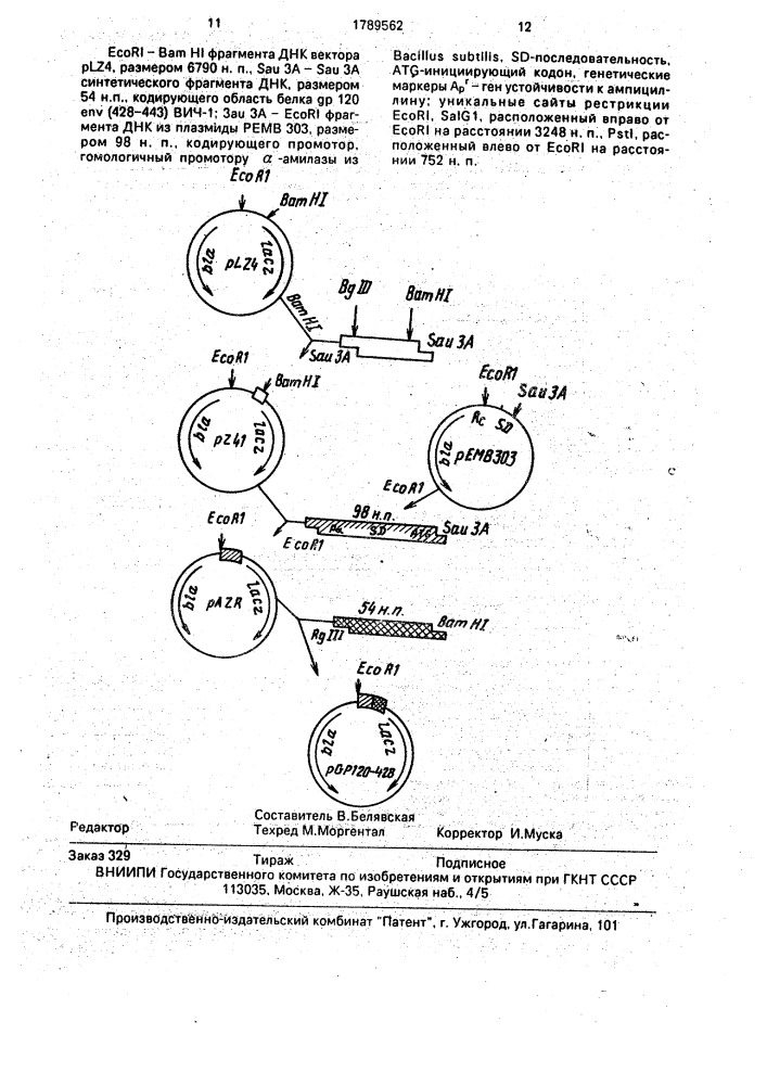 Рекомбинатная плазмидная днк pgp 120 - 428, кодирующая гибридный белок с антигенными свойствами белка @ р 120 вич- 1 (патент 1789562)