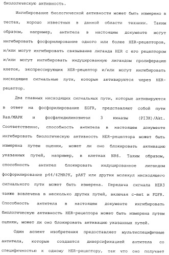 Антитела к her (патент 2504553)