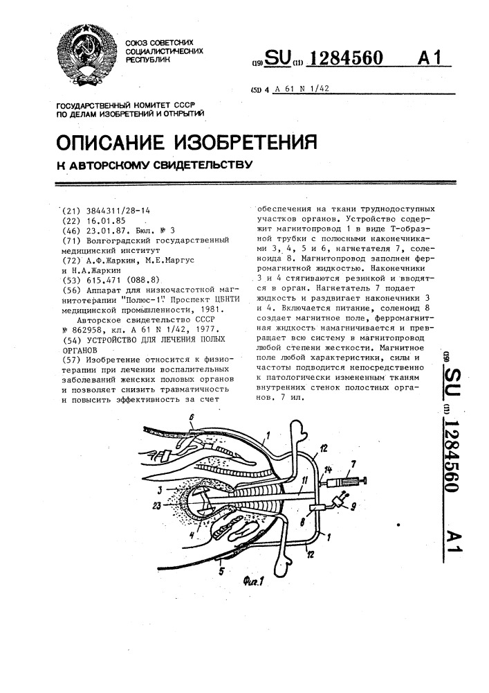 Устройство для лечения полых органов (патент 1284560)