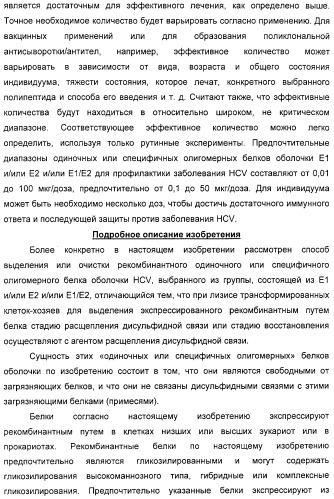 Очищенные белки оболочки вируса гепатита с для диагностического и терапевтического применения (патент 2313363)