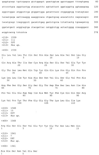 Pscaxcd3, cd19xcd3, c-metxcd3, эндосиалинxcd3, epcamxcd3, igf-1rxcd3 или fap-альфаxcd3 биспецифическое одноцепочечное антитело с межвидовой специфичностью (патент 2547600)