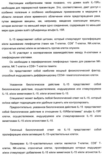 Соединение, предназначенное для стимуляции пути передачи сигнала через il-15rбета/гамма, с целью индуцировать и/или стимулировать активацию и/или пролиферацию il-15rбета/гамма-положительных клеток, таких как nk-и/или t-клетки, нуклеиновая кислота, кодирующая соединение, вектор экспрессии, клетка-хозяин, адъювант для иммунотерапевтической композиции, фармацевтическая композиция и лекарственное средство для лечения состояния или заболевания, при котором желательно повышение активности il-15, способ in vitro индукции и/или стимуляции пролиферации и/или активации il-15rбета/гамма-положительных клеток и способ получения in vitro активированных nk-и/или t-клеток (патент 2454463)