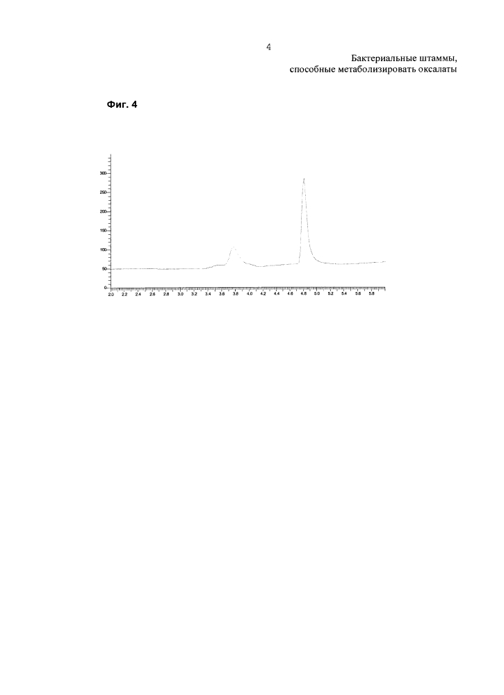 Бактериальный штамм, способный метаболизировать оксалаты (патент 2624033)