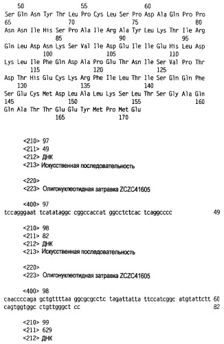 Новый лиганд рецептора цитокина zcytor17 (патент 2360923)
