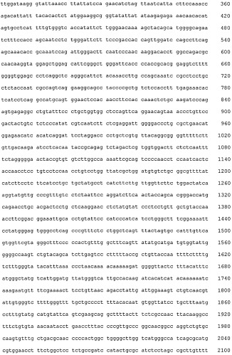 Композиция для лечения инфекции вирусом гепатита в (патент 2555346)