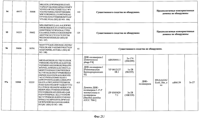 Бактериофаг, обладающий активностью против pseudomonas aeruginosa, белки бактериофага и способы их применения (патент 2580248)
