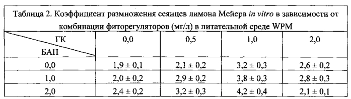 Способ культивирования лимона in vitro (патент 2580033)