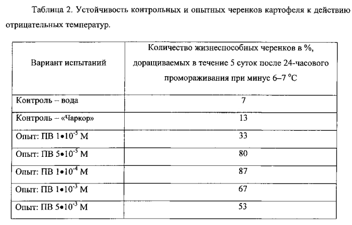 Способ размножения картофеля зелеными черенками, обладающими повышенной жизнеспособностью (патент 2584417)