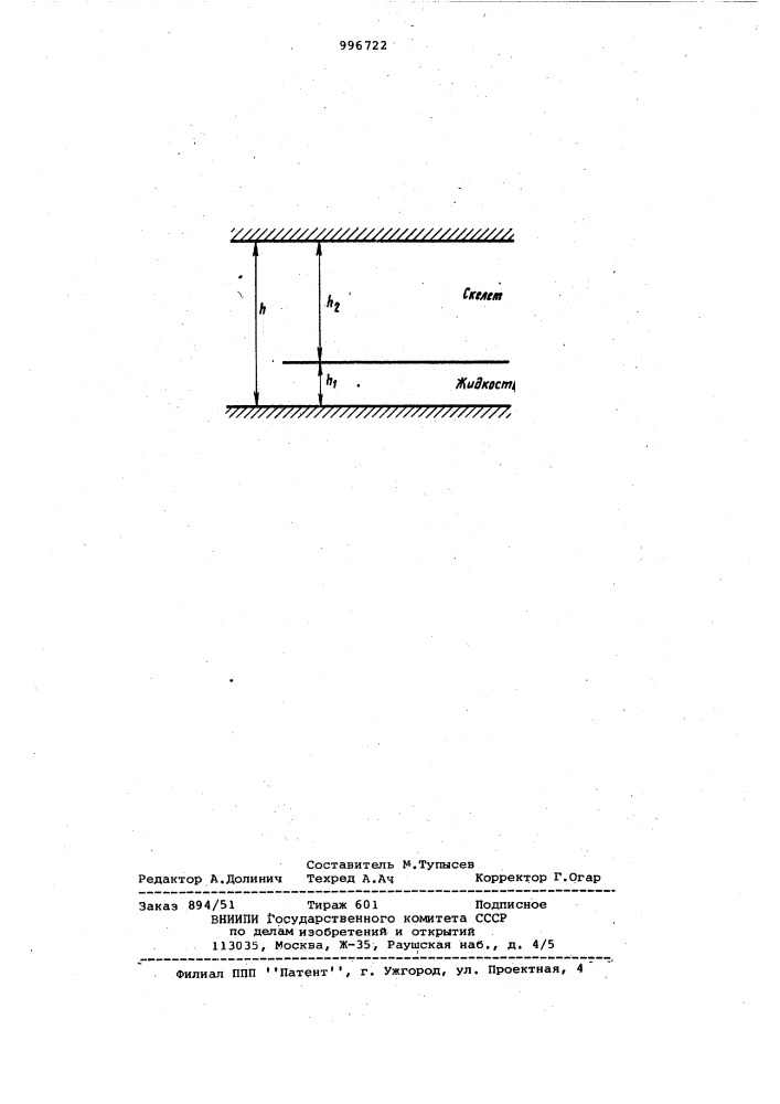 Способ исследования скважин (патент 996722)