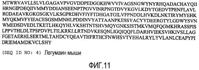 Композиция днк для вызова иммунного ответа против опухолеассоциированных макрофагов (патент 2459631)