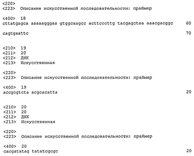 Способ получения сахарного раствора (патент 2516792)