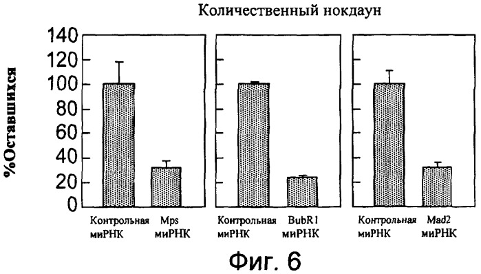 Способ измерения резистентности или чувствительности к доцетакселу (патент 2403574)