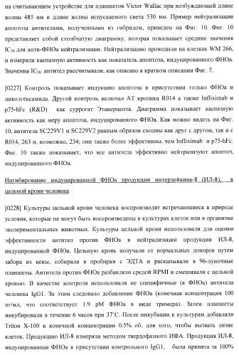 Антитела, специфичные к фактору некроза опухолей, и их применение (патент 2377253)