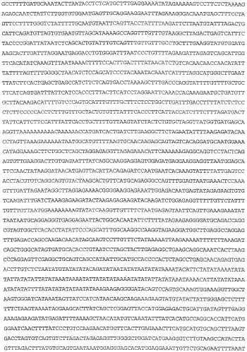 Применение s1p (патент 2362565)