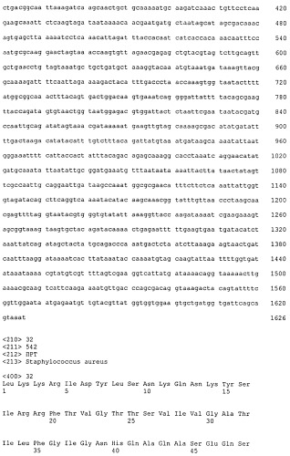 Иммуногенные композиции антигенов staphylococcus aureus (патент 2536981)