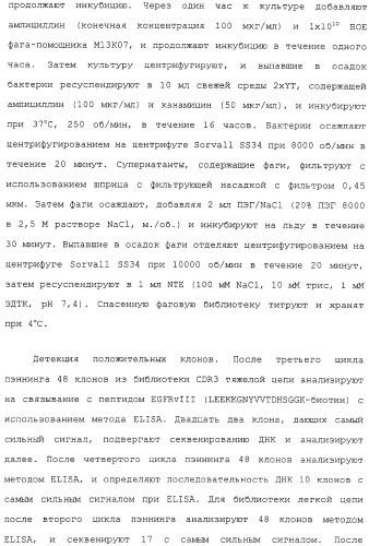 Scfv против egfrviii с улучшенной цитотоксичностью и выходом, иммунотоксины на их основе и способы их применения (патент 2317999)
